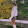 Gisela Dorado Gisela Dorado's profile photo