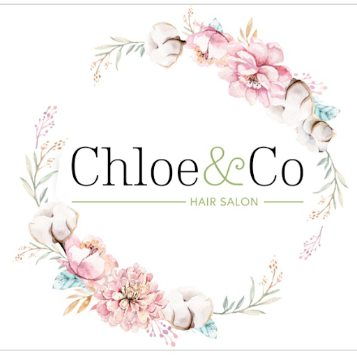 Chloe & Co logo