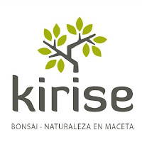 Kirise Bonsai