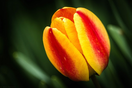 posted image