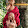 Gustavo Davila Rodriguez Gustavo Davila Rodriguez's profile photo