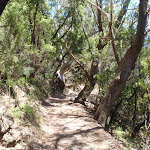 Continuing along the side of the hill (92608)