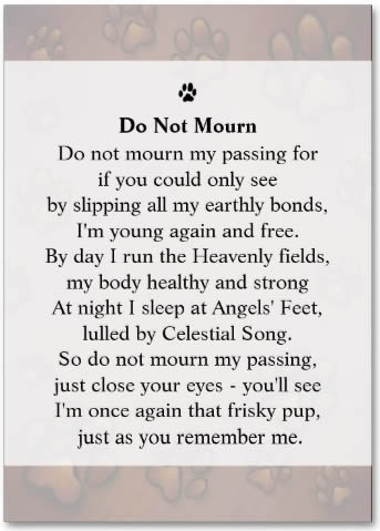 Chocolate Brown Paw Prints Photo Pet Remembrance Card with Do Not Mourn Poem on Back