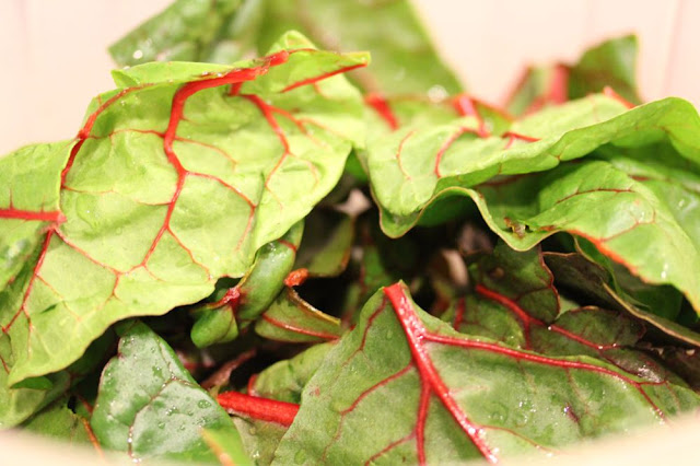 closeup of chard: green with bright red veins