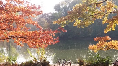 Photos of Volkspark Marienberg