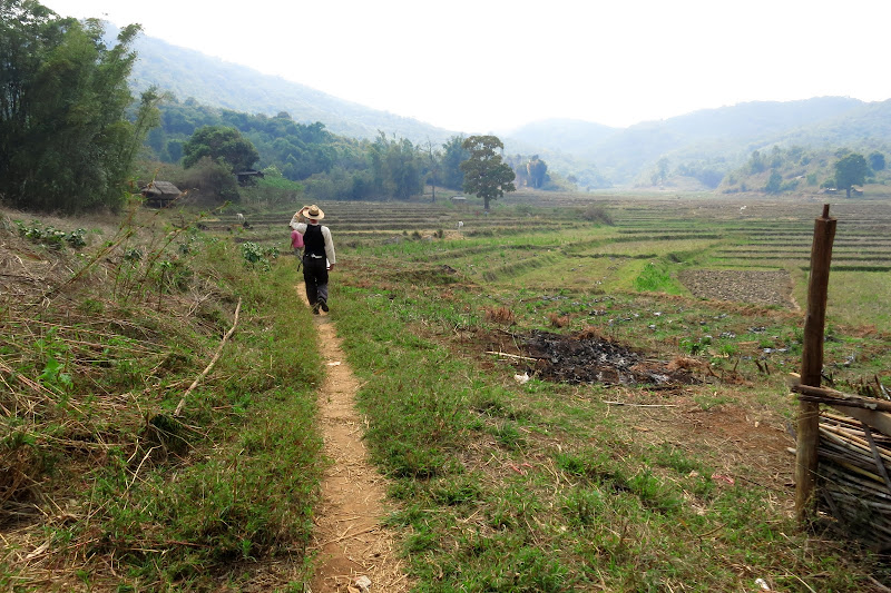 Walking out to the rice paddies