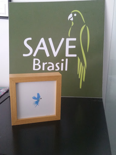 Associação para Conservação das Aves do Brasil, R. Fernão Dias, 219 - Pinheiros, São Paulo - SP, 05427-000, Brasil, Observao_de_Pssaros, estado São Paulo
