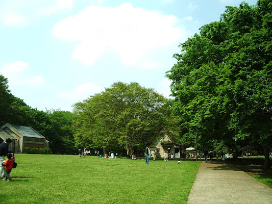 Kinuta Park