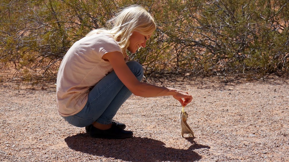 Full Throttle: NY, CA, AZ, NV, UT.