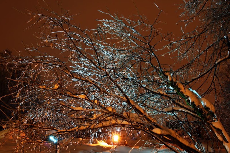 iarna zapada Bucuresti noapte fotografie
