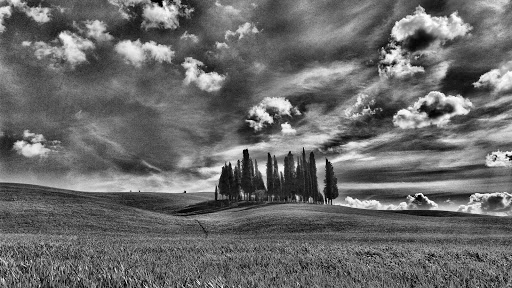 Cipressi di San Quirico d'Orcia