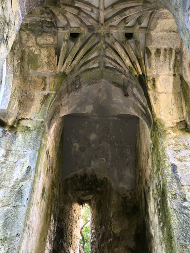 Muckross Abbey