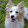 Andrey Semenov Andrey Semenov's profile photo