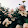 Olivia Mantero Olivia Mantero's profile photo