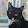 Andrew Knight Andrew Knight's profile photo