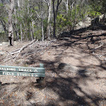 Field Study Huts intersection (105730)