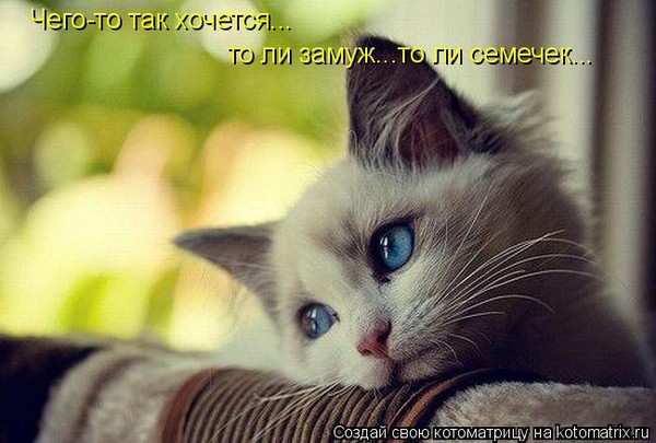 Ни дня без улыбки. Мужчине, конечно, проще… Ни дня без улыбки. Мужчине, конечно, проще…