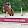 HIDDENHOLLOW Moraski HIDDENHOLLOW Moraski's profile photo