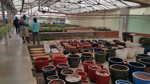 Indo-American Hybrid Seeds Garden Center, 2nd A main, 17th cross,, Banashankari Stage II,, Bengaluru, Karnataka 560070, India, Garden_Centre, state KA