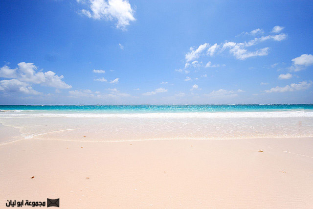 أجمل شواطئ الكاريبي  E%2520%25287%2529