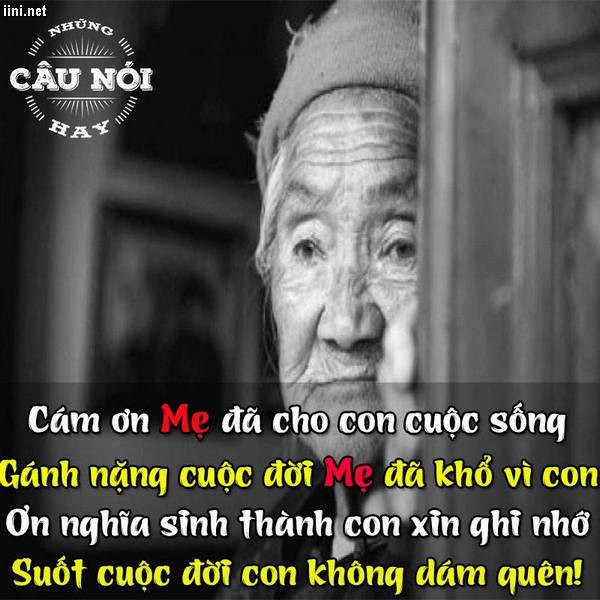 Cha mẹ là người thầm lặng đồng hành cùng chúng ta trên mọi nẻo đường cuộc đời. Hãy cùng chúc mừng, trân trọng và tôn vinh tình yêu thương của cha mẹ bằng những hình ảnh động lòng người. Nhấn vào hình ảnh để đón xem những khoảnh khắc đáng nhớ và tình cảm vô giá của gia đình.