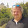 Dirk Collins Dirk Collins's profile photo