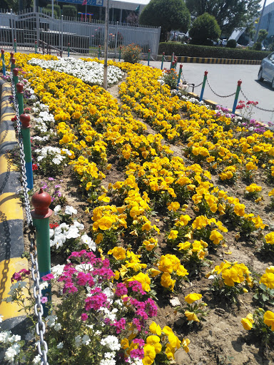 Srinagar International Airport