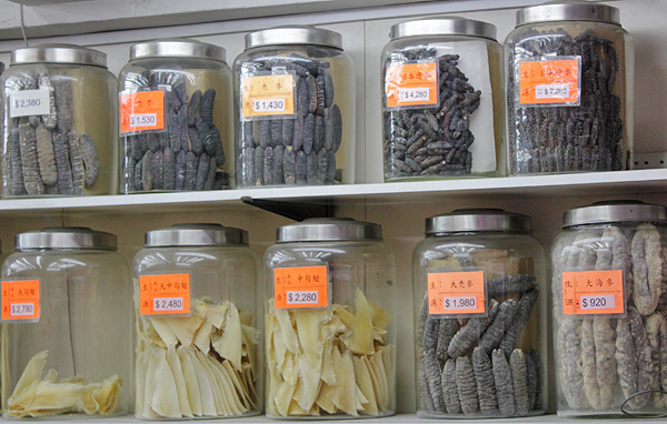 traditional asian medicine, herbal medicine shops in hong kong, weird herbal remedies in asia