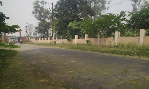 Government Autonomous College, Sundargarh, Raghunathpali, Rourkela, Odisha 769004, India, Government_College, state OD