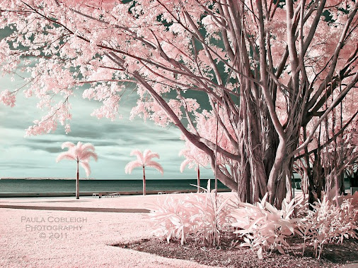 posted image