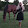 BUNNY HUNTER BUNNY HUNTER's profile photo