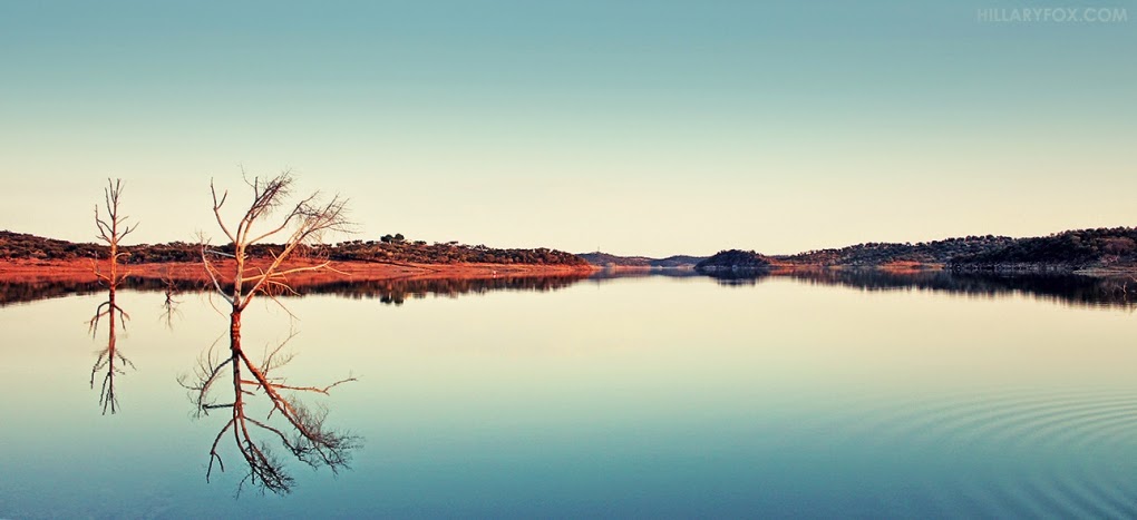  Reflections in open water in rural Portugal. Photographer Hillary Fox