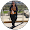 סופי מנדלוביץ