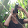 Lois Eggleston Lois Eggleston's profile photo