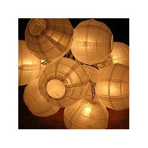  White Globe Electric String Light - 10 Lanterns