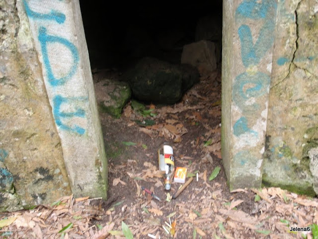 Фотозагадки