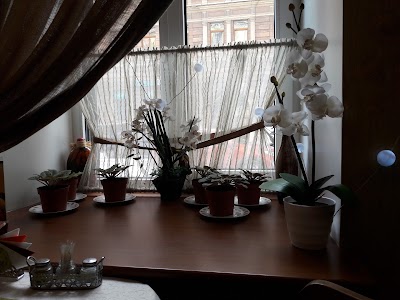 Photos of Zhyul' Vern