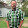 Matthew Ligon Matthew Ligon's profile photo