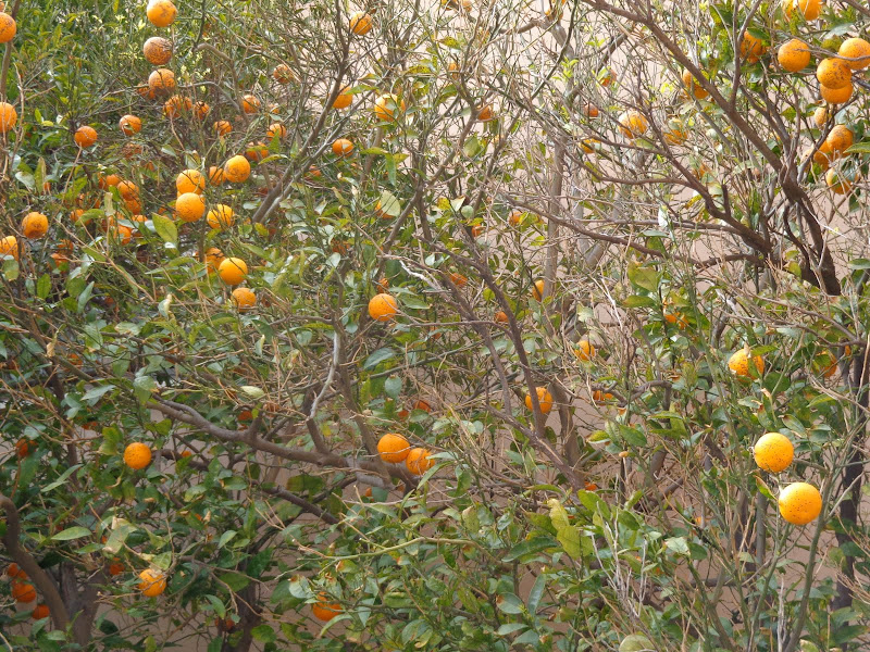 А включите-ка мне усилители качки! А подайте-ка белых пиджаков. Costa Paсifica февраль 13г