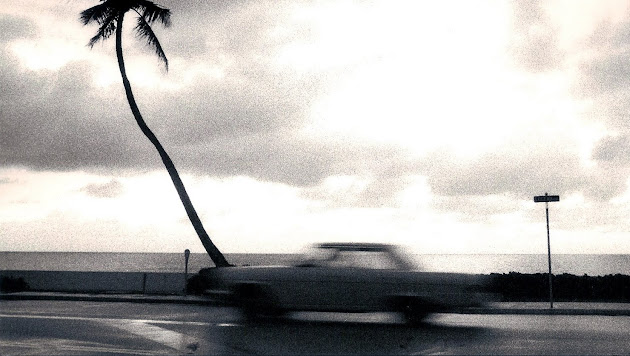 Cover photo