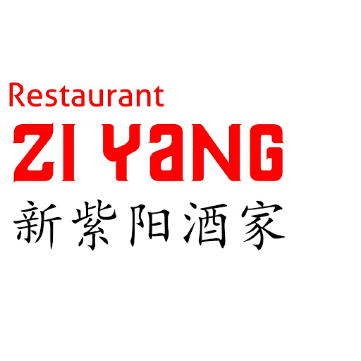 Ny Zi Yang logo