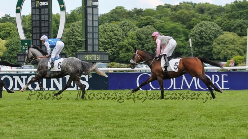 Photos Longchamp 25-05-2014 IMG_1433