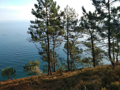 Plage de l ile vierge st hernot