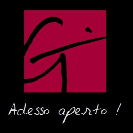 Gina logo