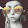 Ricarda Riechert Ricarda Riechert's profile photo