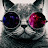 Nancy Perkins avatar image