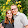 Chris Pivik Chris Pivik's profile photo