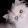 Lore Vega Lore Vega's profile photo
