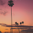 Andy Piftor avatar image