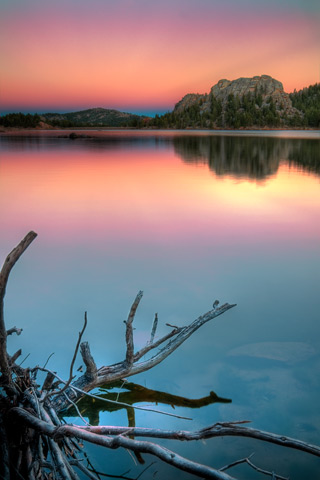 posted image